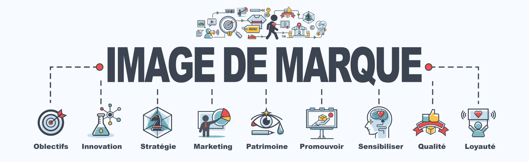 organigramme de l'image de marque